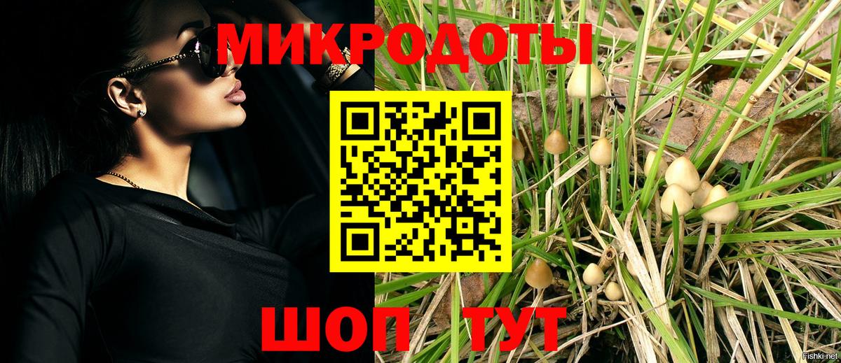Сорочинск  Галлюциногенные грибы прущие грибы  продажа наркотиков  Вход с VPN 